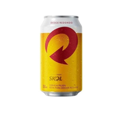 Cerveja Skol - Lata 350ML